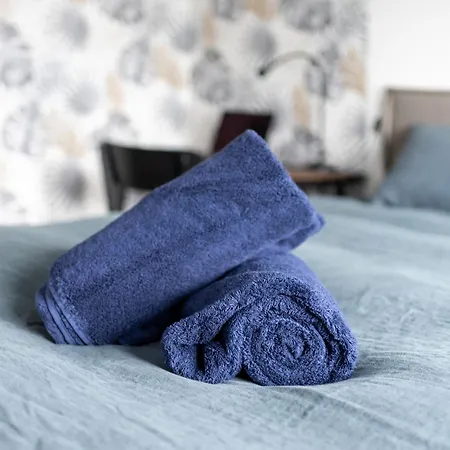 Apartmán Spacieux T4 Proche Centre-ville, Clim Et Parking Toulouse