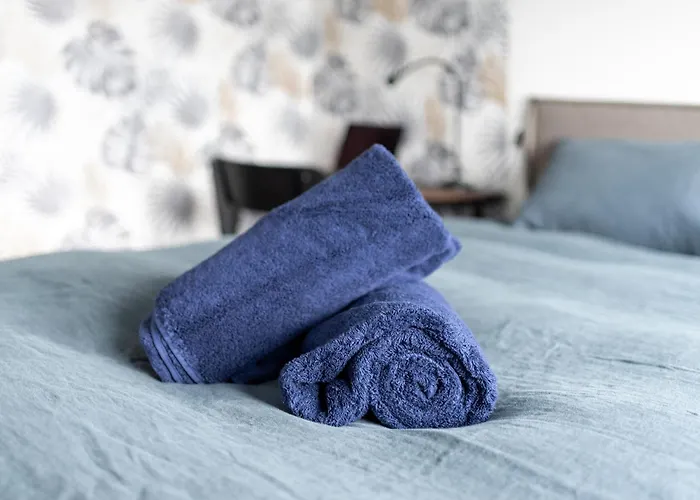 アパート Spacieux T4 Proche Centre-ville, Clim Et Parking トゥールーズ